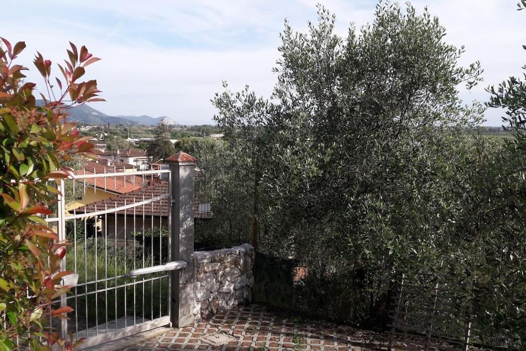 Villa Villacolle ماساروسا المظهر الخارجي الصورة