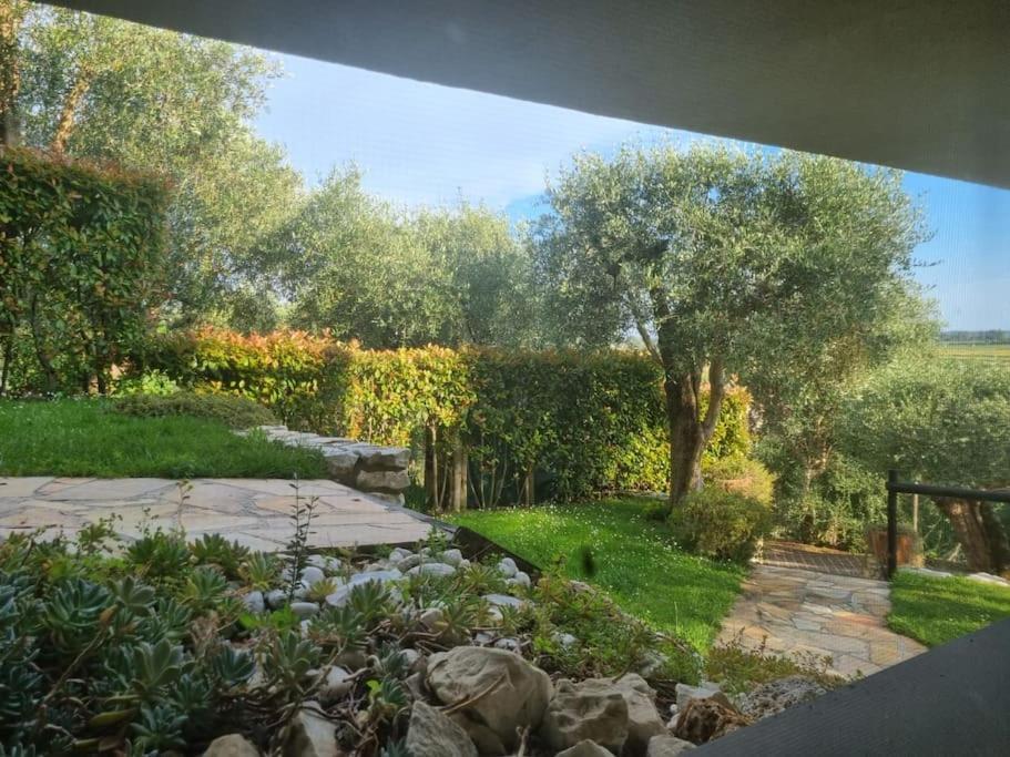 Villa Villacolle ماساروسا المظهر الخارجي الصورة